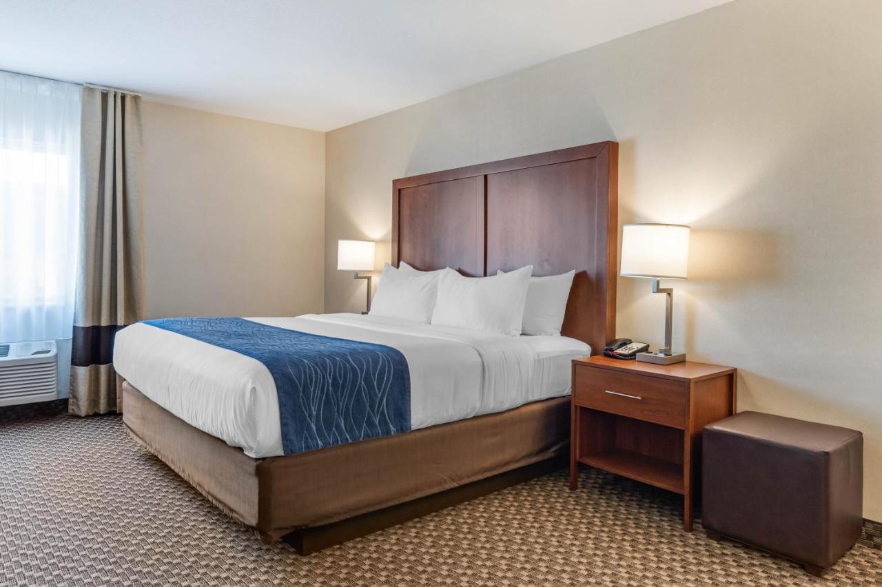Comfort Inn & Suites Near Route 66 Lincoln Ruang foto
